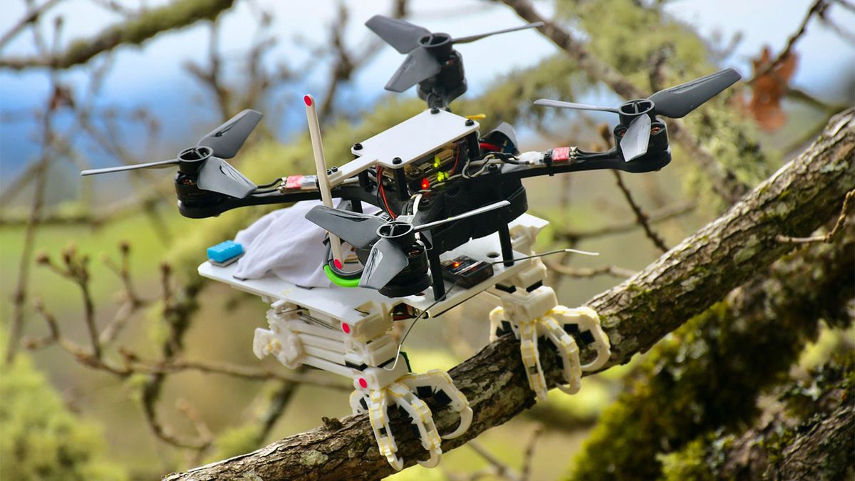 Роботизированные дроны теперь могут летать, останавливаться и сидеть, как птицы