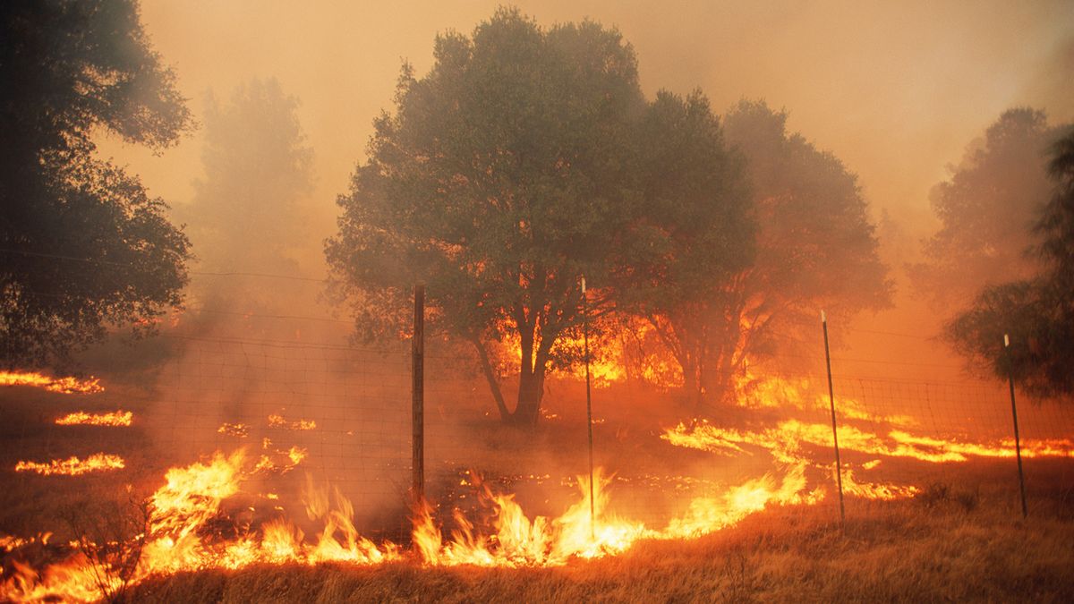 山火事の防止が人々と気候に最も影響を与える場所