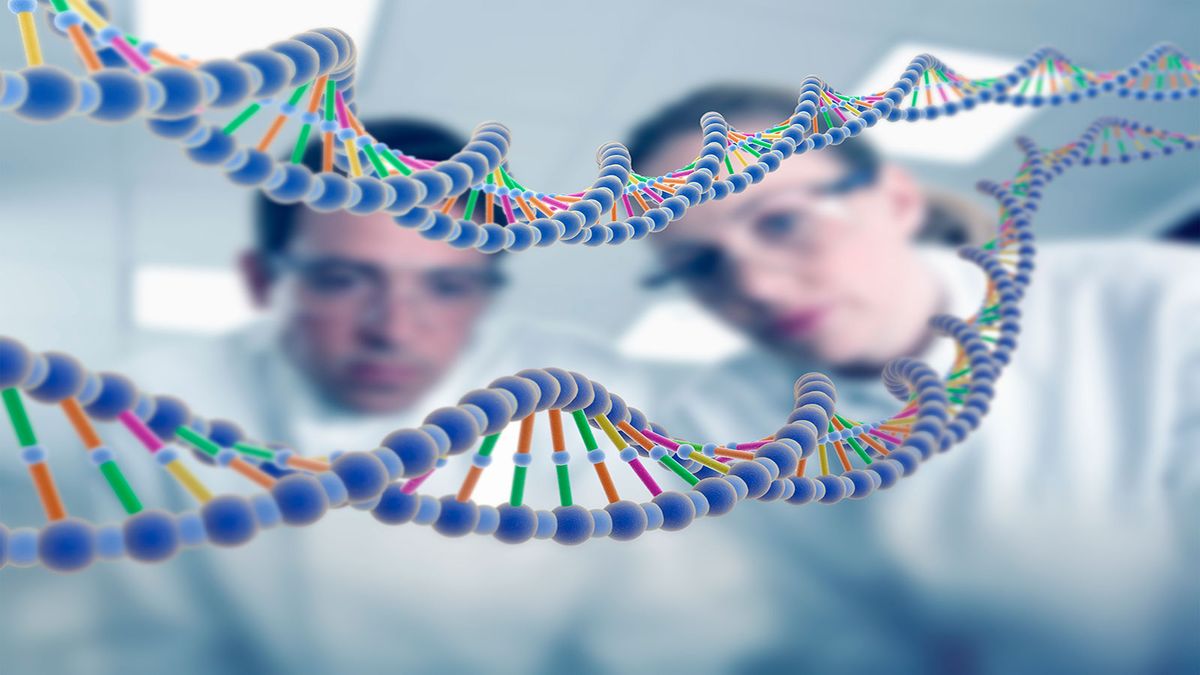 과학자들은 마침내 인간 게놈의 8% 격차를 채웠다