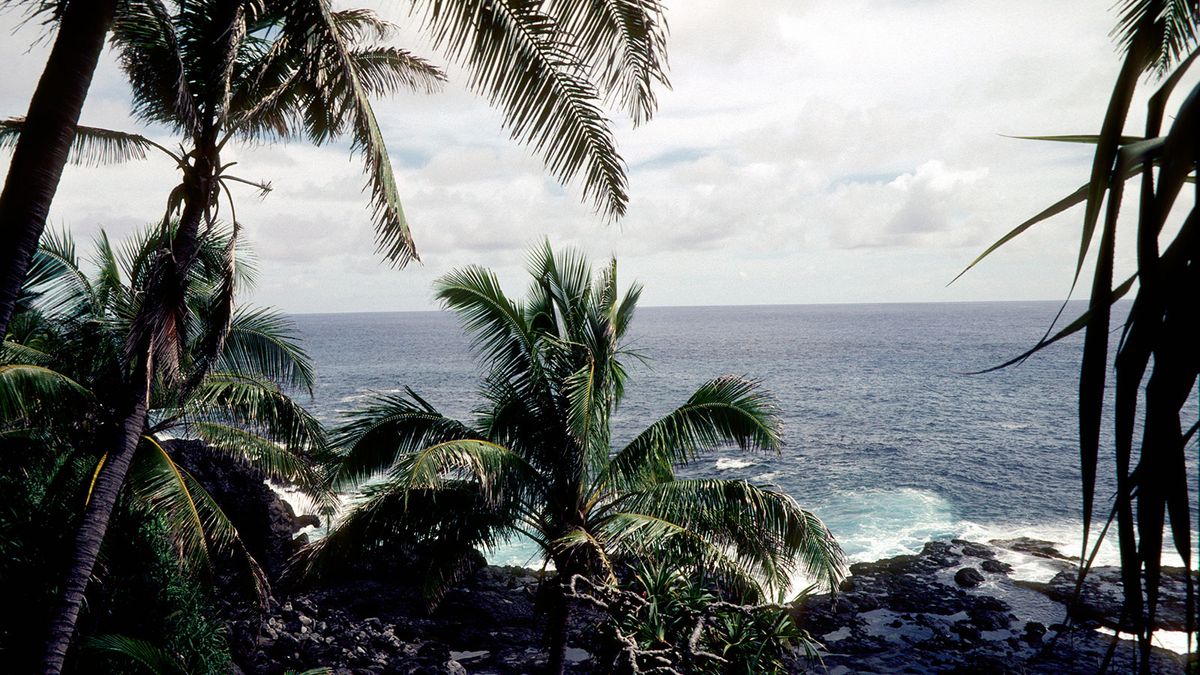 पिटकेर्न द्वीप पर सिर्फ 50 लोग रहते हैं, जो पृथ्वी के सबसे दूरस्थ स्थानों में से एक है