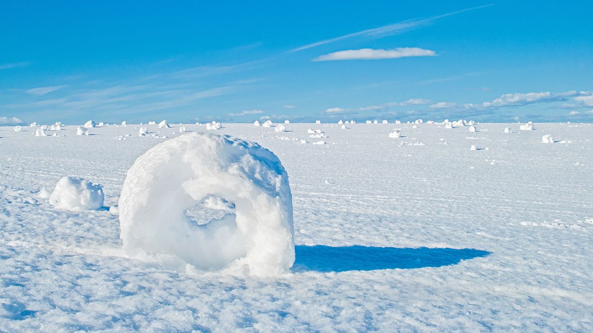 Os rolos de neve são rosquinhas de inverno da natureza