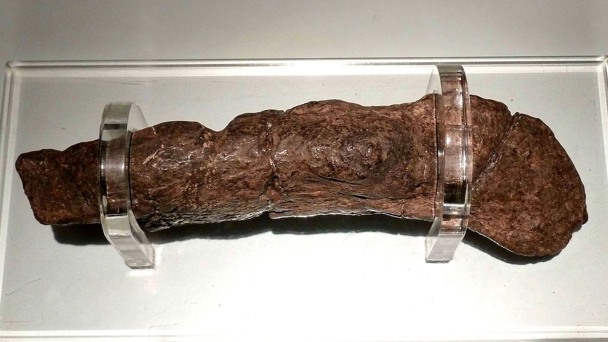 A história de cocô mais longa do mundo é um pote de, bem ...