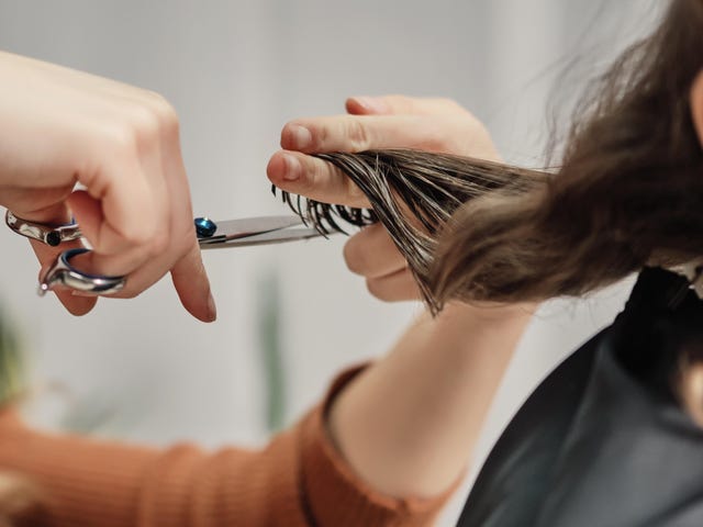 Salon fryzjerski mówi, że klienci transpłciowi powinni odwiedzić „Lokalnego fryzjera dla zwierząt” po orzeczeniu Sądu Najwyższego