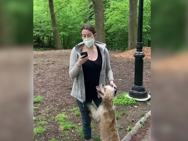 Karen en Central Park afirmó que “temía por su vida” cuando Birdwatcher se le acercó