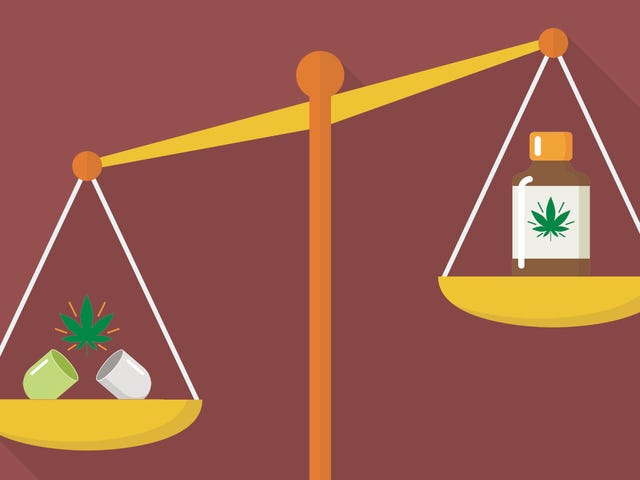 Bagaimana Mariyuana Medis Bekerja, dan Status Hukumnya yang Rumit