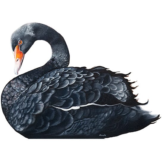 Navigazione degli eventi Black Swan