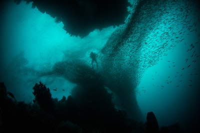 「マリアナ海溝の公開: 深淵の恐るべき隠された真実を明らかにする」