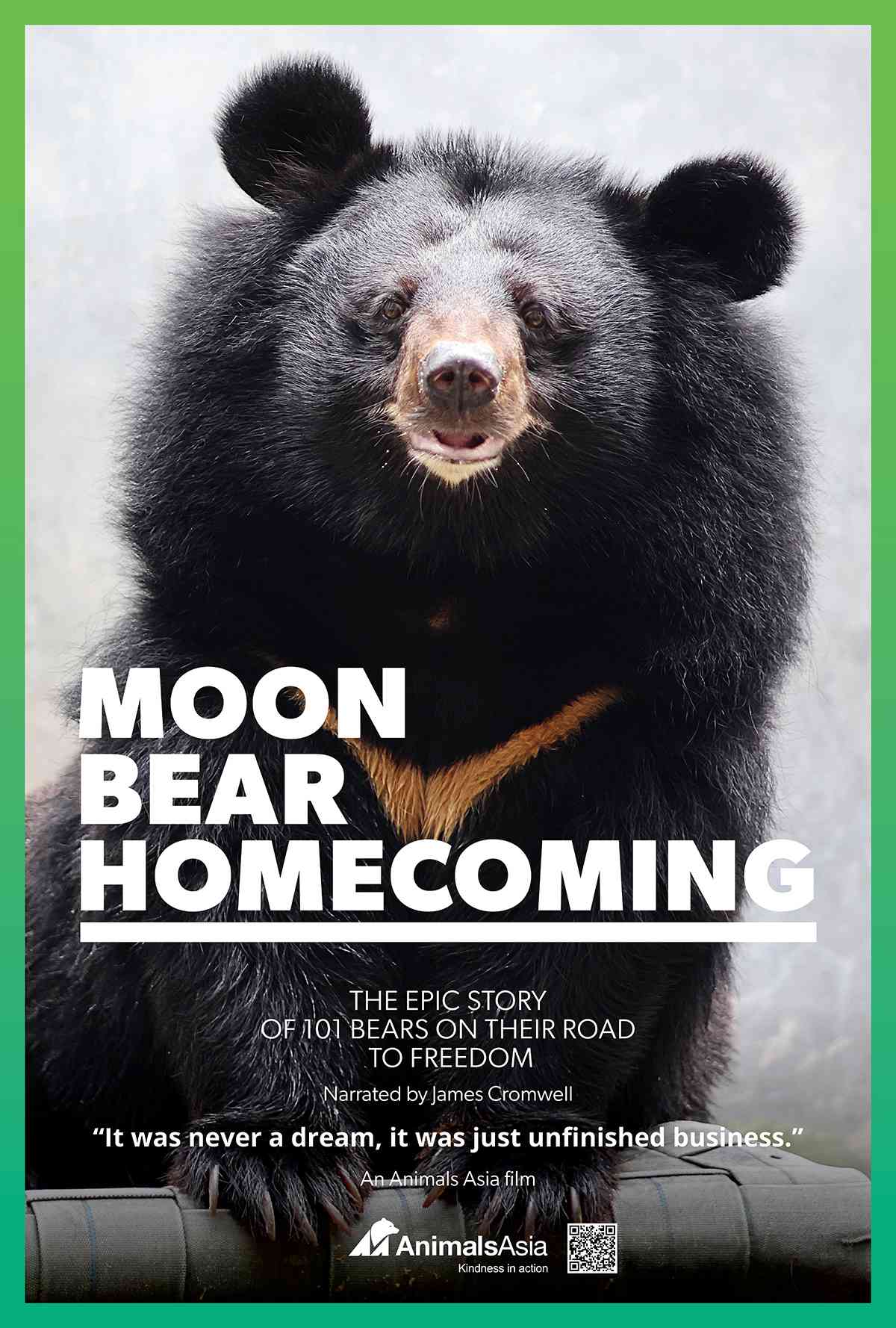 Resgate de 101 ursos da indústria abusiva de bile Farm inspira o curta-metragem Moon Bear Homecoming