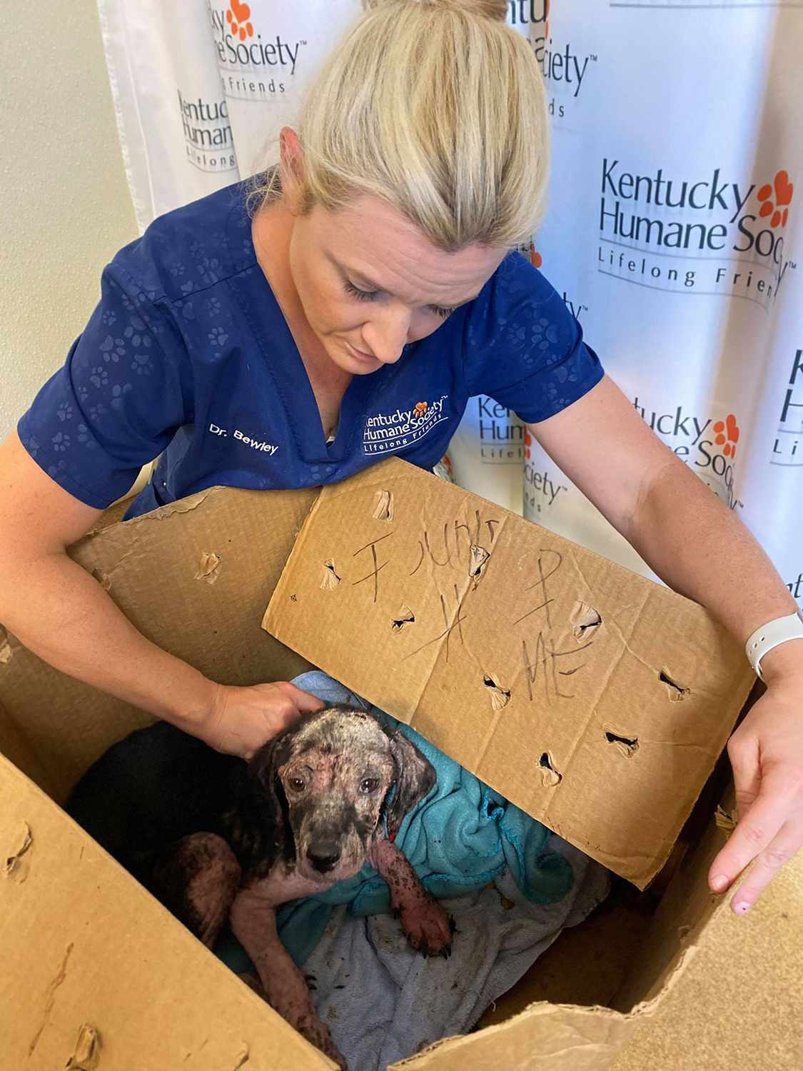Kentucky Shelter znajduje wychudzonego szczeniaka pozostawionego w zaklejonym pudełku z napisem „Help Me” na boku