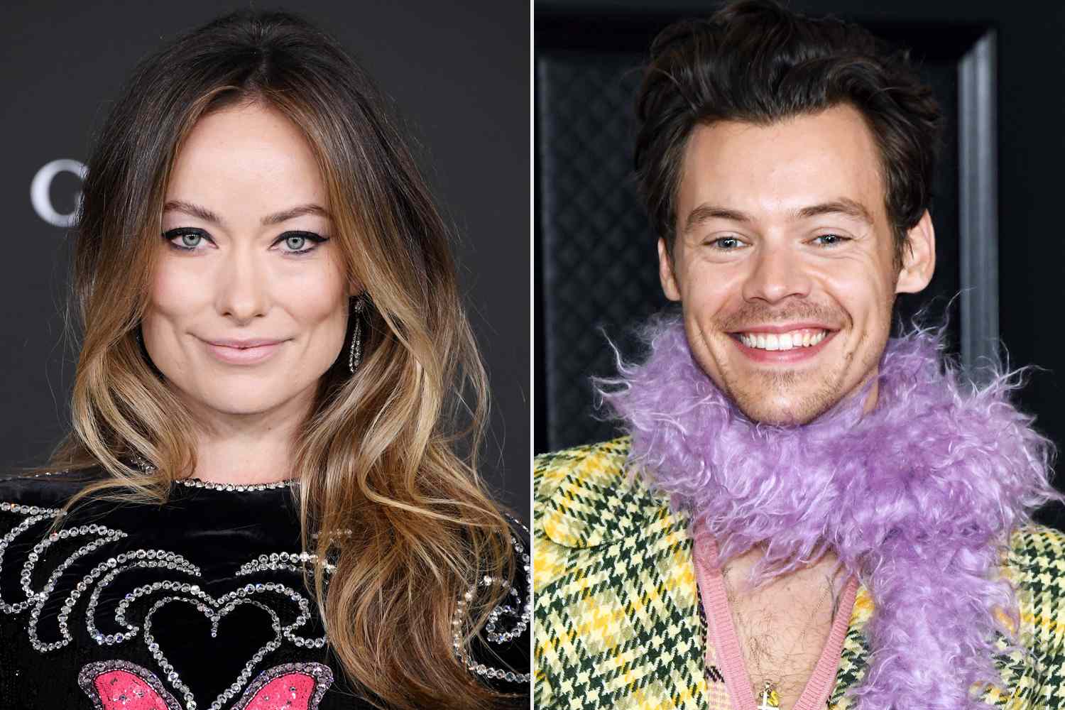 Olivia Wilde apoya la nueva marca de belleza de Harry Styles en Instagram: 'Encuentro esto muy agradable'