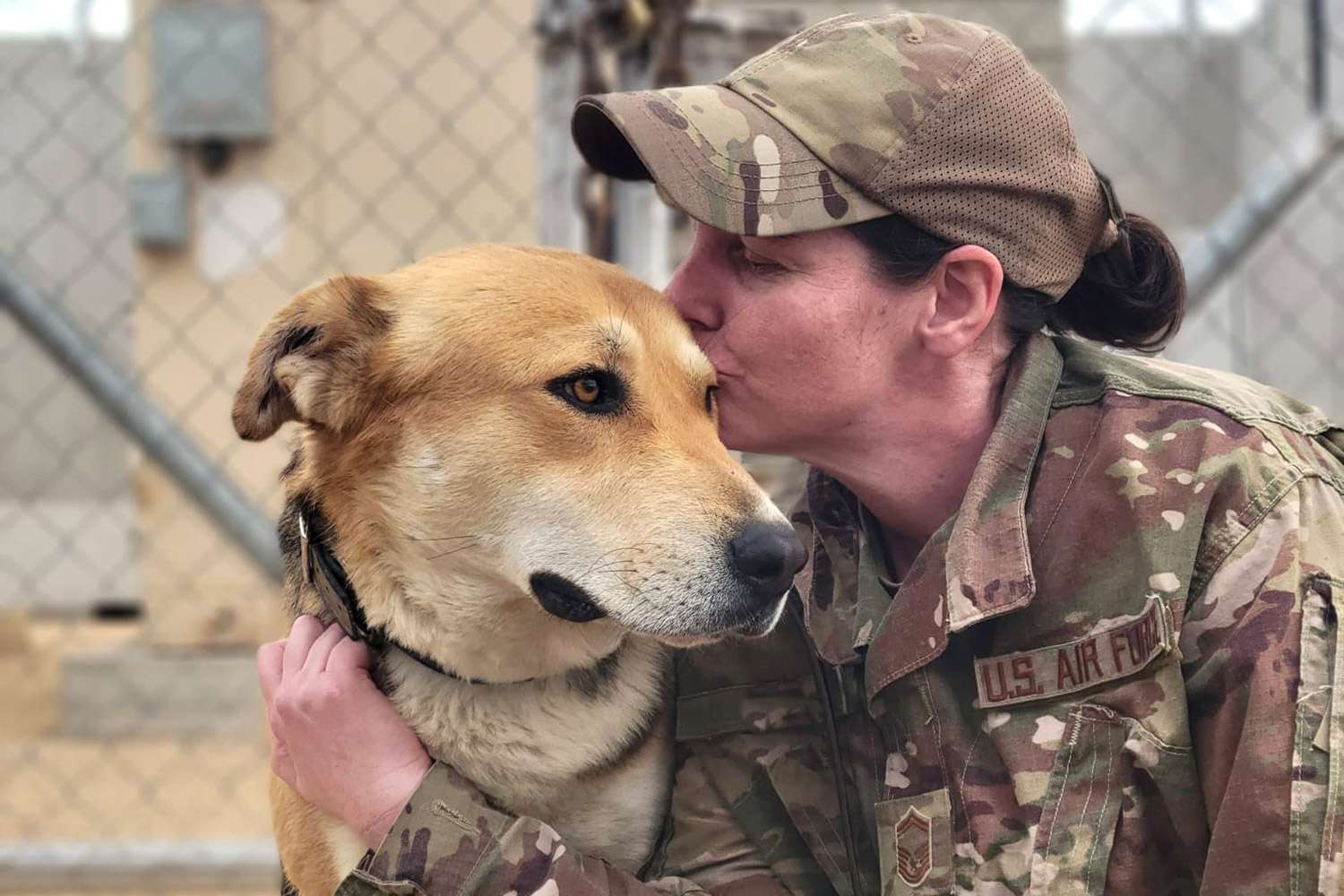 Sargento da Força Aérea em busca de ajuda para adotar um cão vadio com quem ela fez amizade durante seu destacamento