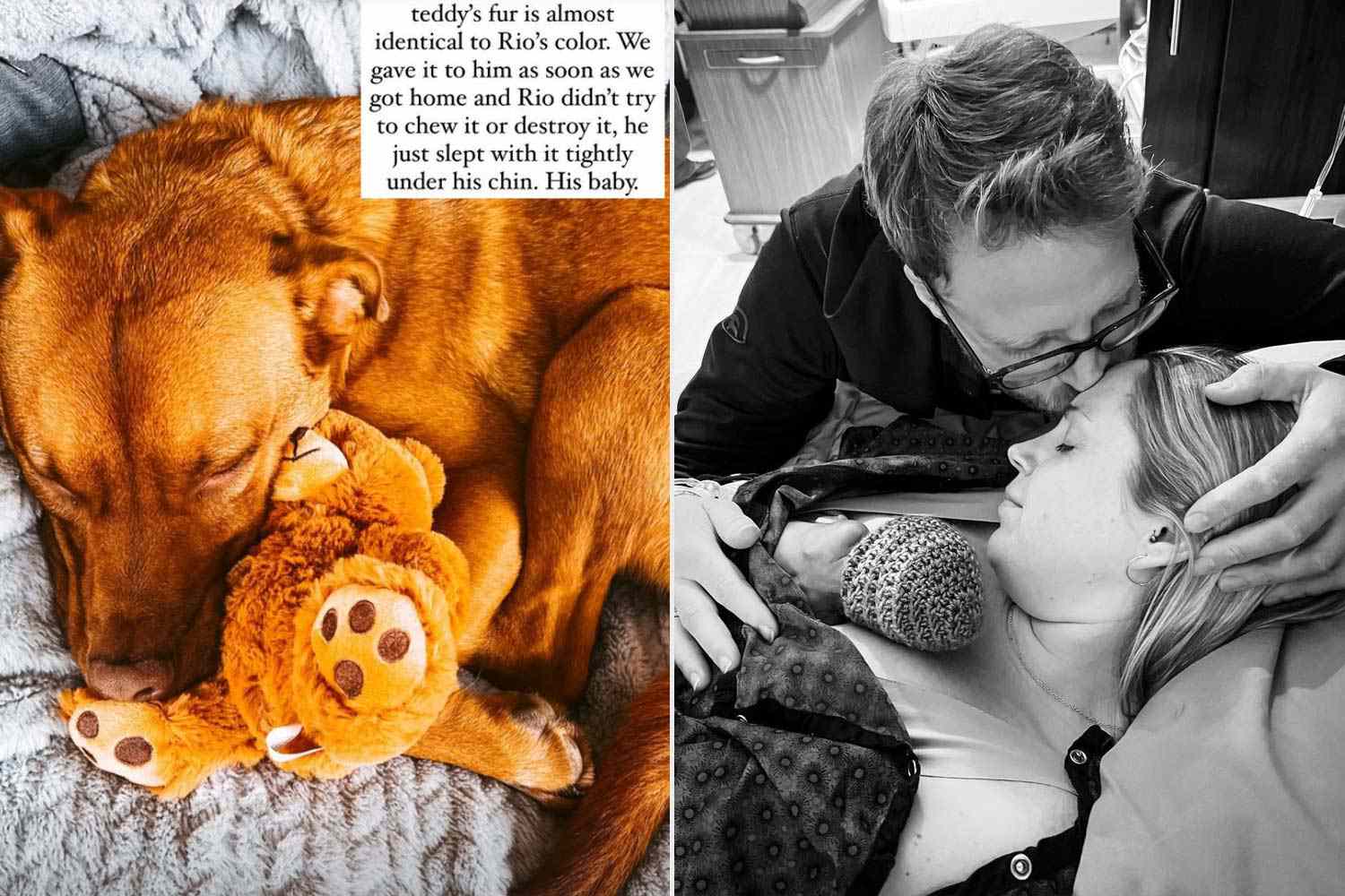 Sarah Herron은 고인이 된 아들의 요람에서 동물 인형을 집으로 가져오고 강아지의 달콤한 반응을 공유합니다.