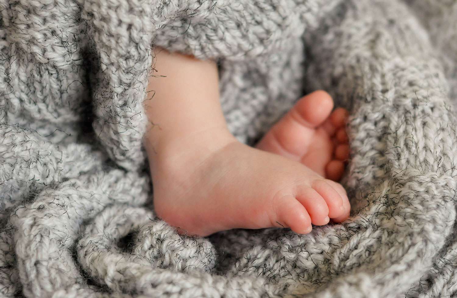 Neugeborenes Mädchen, das bei der Geburt verlassen wurde, wurde "durch Gottes Gnade" in Florida Woods lebend aufgefunden